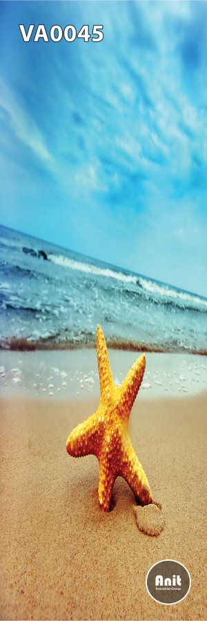 عکس ستاره دریایی رادیاتور شیشه ای