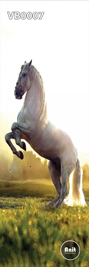 عکس اسب سفید رادیاتور شیشه ای