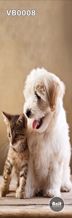عکس سگ و گربه رادیاتور شیشه ای