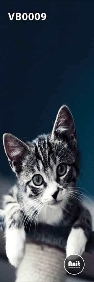 عکس گربه کوچک رادیاتور شیشه ای